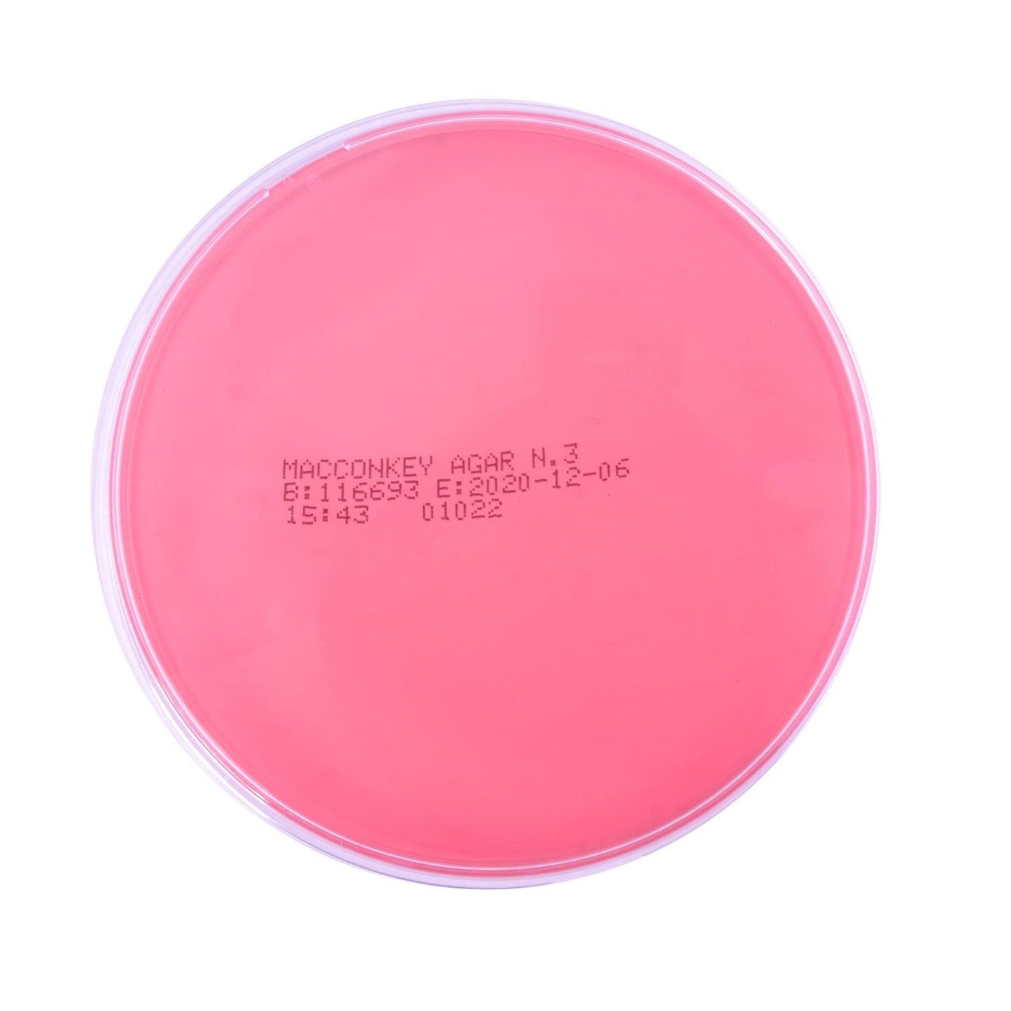 Macconkey Agar For The Isolation Of Gram-Negative Bacteria