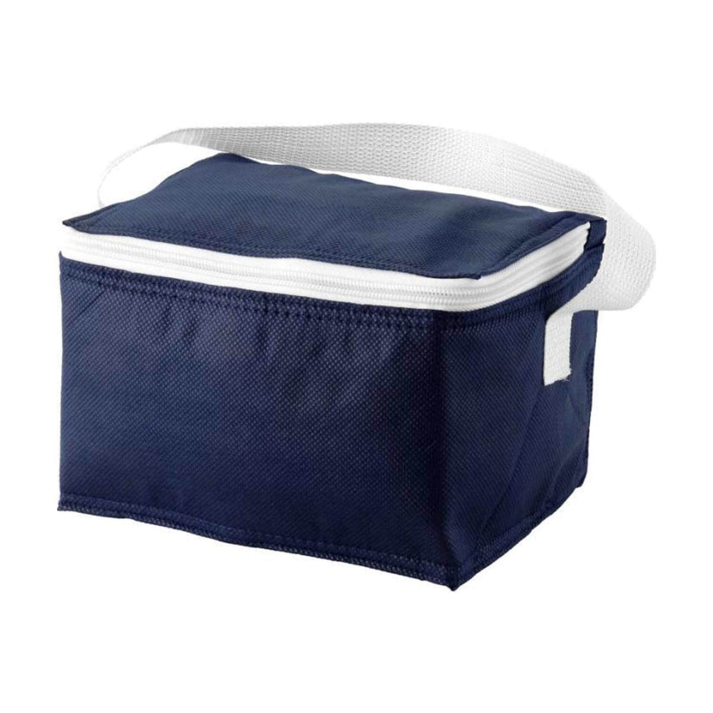 Small Medicine Cooler Bag With Carrying Straps And A Volume Of 4 Litres
