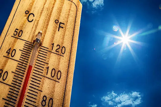 When Your Body Overheats: Understanding and Preventing Heatstroke
