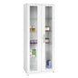 Steel Medicine Cabinet With Particularly Robust Glazing
