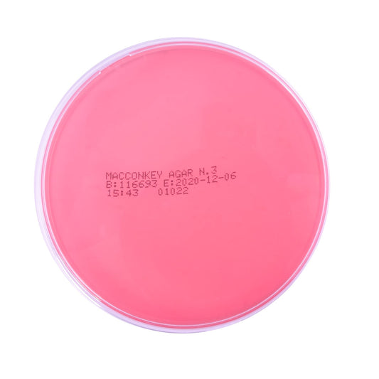 Macconkey Agar For The Isolation Of Gram-Negative Bacteria