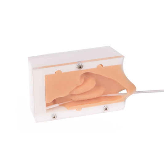 Covid Test Trainer For Learning How To Perform Nasopharyngeal Swabs