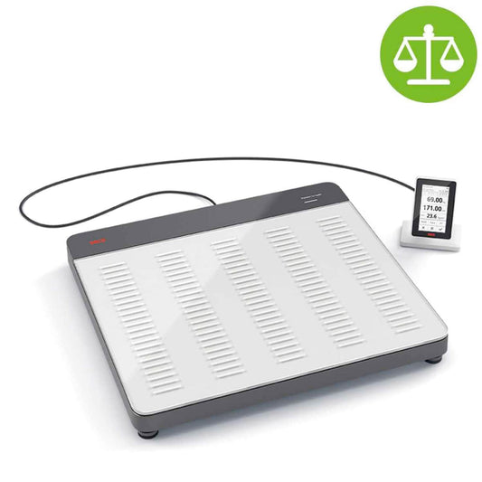 Eca 651 Flat Scale From The Scale-Up Line