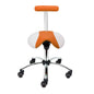 Saddle Stool With Removable Backrest From Teqler 