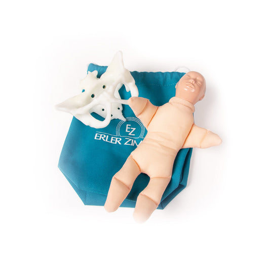 Mini Pelvis With Birthing Doll From Erler-Zimmer To Demonstrate The Birth Process
