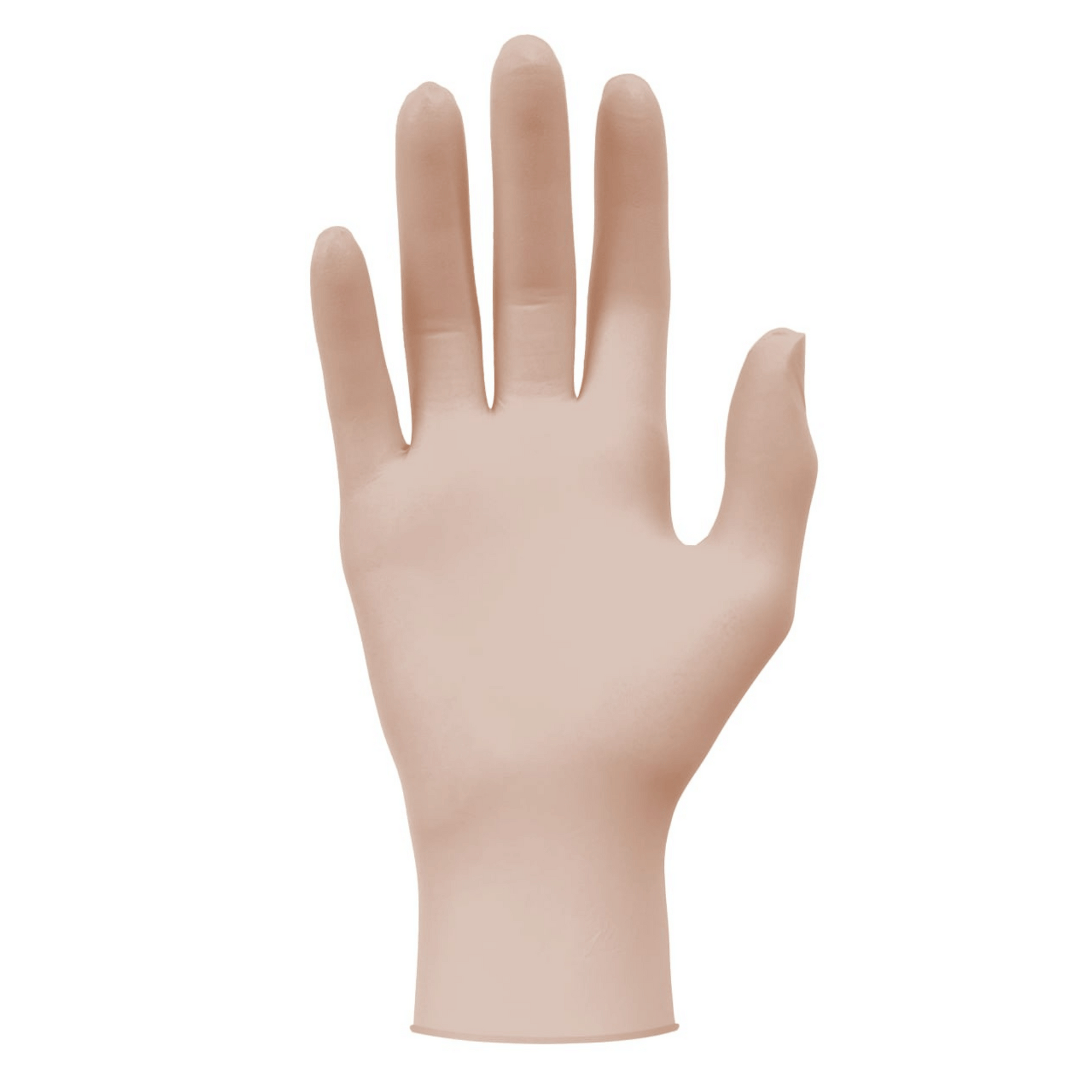 MediTrade Vinyl Gloves x 100 | Clear | L - EconoMed