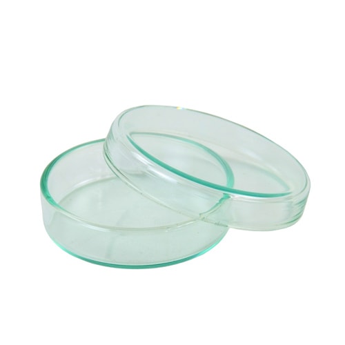 Glass Petri Dish With Lid
